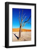 Dead Tree, Namib Desert, Namibia-DmitryP-Framed Photographic Print