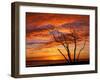 Dead Tree on Lighthouse Beach at Sunrise, Sanibel Island, Florida, USA-Jerry & Marcy Monkman-Framed Premium Photographic Print