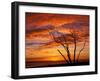 Dead Tree on Lighthouse Beach at Sunrise, Sanibel Island, Florida, USA-Jerry & Marcy Monkman-Framed Premium Photographic Print