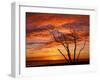 Dead Tree on Lighthouse Beach at Sunrise, Sanibel Island, Florida, USA-Jerry & Marcy Monkman-Framed Premium Photographic Print