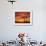 Dead Tree on Lighthouse Beach at Sunrise, Sanibel Island, Florida, USA-Jerry & Marcy Monkman-Framed Photographic Print displayed on a wall