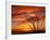 Dead Tree on Lighthouse Beach at Sunrise, Sanibel Island, Florida, USA-Jerry & Marcy Monkman-Framed Photographic Print