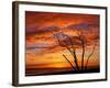 Dead Tree on Lighthouse Beach at Sunrise, Sanibel Island, Florida, USA-Jerry & Marcy Monkman-Framed Photographic Print