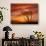 Dead Tree on Lighthouse Beach at Sunrise, Sanibel Island, Florida, USA-Jerry & Marcy Monkman-Photographic Print displayed on a wall