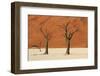 Dead Tree, Sand Dunes, Deadvlei, Namib-Naukluft National Park, Namibia-David Wall-Framed Photographic Print