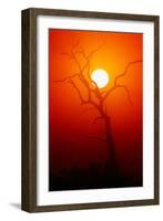 Dead Tree Silhouette with Dusty Sunset - Kruger National Park-Johan Swanepoel-Framed Photographic Print