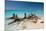 Dead Tree Stumps on a Caribbean Beach in Cuba's Cayo Largo-Alex Saberi-Mounted Photographic Print