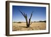 Dead Tree with a Flat Top Mountain in the Distance-null-Framed Photographic Print