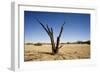 Dead Tree with a Flat Top Mountain in the Distance-null-Framed Photographic Print