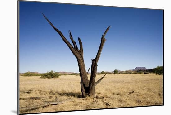 Dead Tree with a Flat Top Mountain in the Distance-null-Mounted Photographic Print