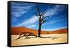 Dead Tree-MJO Photo-Framed Stretched Canvas