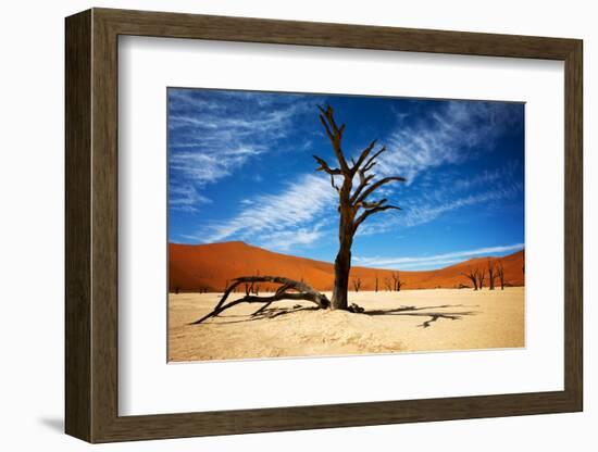 Dead Tree-MJO Photo-Framed Photographic Print
