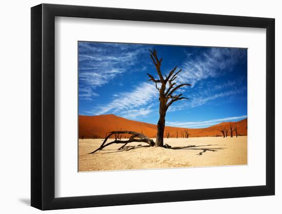 Dead Tree-MJO Photo-Framed Photographic Print