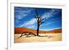 Dead Tree-MJO Photo-Framed Photographic Print