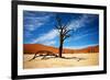 Dead Tree-MJO Photo-Framed Photographic Print