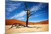 Dead Tree-MJO Photo-Mounted Photographic Print