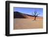 Dead Tree-jlombard-Framed Photographic Print