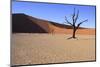 Dead Tree-jlombard-Mounted Photographic Print