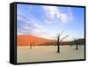 Dead Trees and Orange Sand Dunes-Gavin Hellier-Framed Stretched Canvas