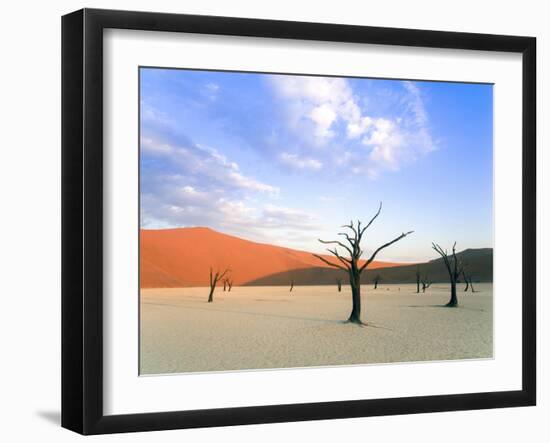 Dead Trees and Orange Sand Dunes-Gavin Hellier-Framed Photographic Print