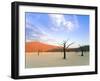 Dead Trees and Orange Sand Dunes-Gavin Hellier-Framed Photographic Print