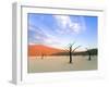 Dead Trees and Orange Sand Dunes-Gavin Hellier-Framed Photographic Print