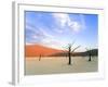 Dead Trees and Orange Sand Dunes-Gavin Hellier-Framed Photographic Print
