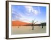 Dead Trees and Orange Sand Dunes-Gavin Hellier-Framed Photographic Print