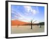 Dead Trees and Orange Sand Dunes-Gavin Hellier-Framed Photographic Print