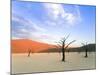 Dead Trees and Orange Sand Dunes-Gavin Hellier-Mounted Photographic Print