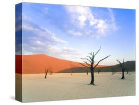 Dead Trees and Orange Sand Dunes-Gavin Hellier-Stretched Canvas