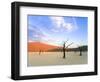 Dead Trees and Orange Sand Dunes-Gavin Hellier-Framed Photographic Print