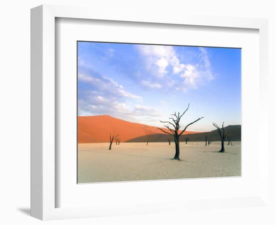 Dead Trees and Orange Sand Dunes-Gavin Hellier-Framed Photographic Print