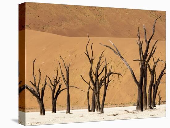 Dead Trees, Deadvlei, Sossusvlei, Namib Naukluft Park, Namib Desert, Namibia, Africa-Sergio Pitamitz-Stretched Canvas