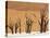 Dead Trees, Deadvlei, Sossusvlei, Namib Naukluft Park, Namib Desert, Namibia, Africa-Sergio Pitamitz-Stretched Canvas