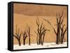 Dead Trees, Deadvlei, Sossusvlei, Namib Naukluft Park, Namib Desert, Namibia, Africa-Sergio Pitamitz-Framed Stretched Canvas