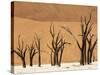 Dead Trees, Deadvlei, Sossusvlei, Namib Naukluft Park, Namib Desert, Namibia, Africa-Sergio Pitamitz-Stretched Canvas