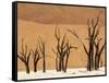 Dead Trees, Deadvlei, Sossusvlei, Namib Naukluft Park, Namib Desert, Namibia, Africa-Sergio Pitamitz-Framed Stretched Canvas