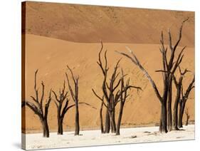 Dead Trees, Deadvlei, Sossusvlei, Namib Naukluft Park, Namib Desert, Namibia, Africa-Sergio Pitamitz-Stretched Canvas