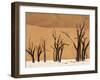 Dead Trees, Deadvlei, Sossusvlei, Namib Naukluft Park, Namib Desert, Namibia, Africa-Sergio Pitamitz-Framed Premium Photographic Print