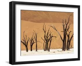 Dead Trees, Deadvlei, Sossusvlei, Namib Naukluft Park, Namib Desert, Namibia, Africa-Sergio Pitamitz-Framed Premium Photographic Print