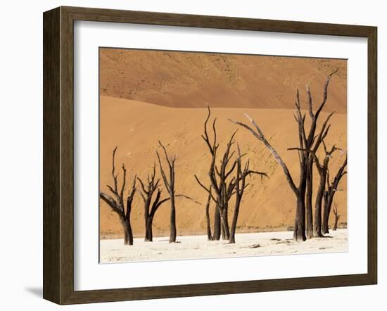 Dead Trees, Deadvlei, Sossusvlei, Namib Naukluft Park, Namib Desert, Namibia, Africa-Sergio Pitamitz-Framed Photographic Print