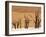 Dead Trees, Deadvlei, Sossusvlei, Namib Naukluft Park, Namib Desert, Namibia, Africa-Sergio Pitamitz-Framed Photographic Print