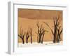 Dead Trees, Deadvlei, Sossusvlei, Namib Naukluft Park, Namib Desert, Namibia, Africa-Sergio Pitamitz-Framed Photographic Print