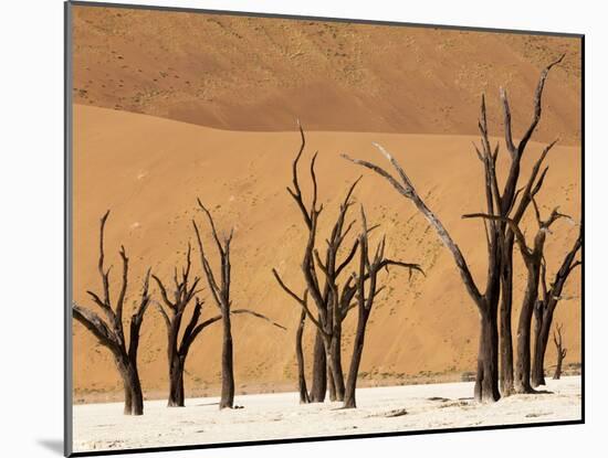 Dead Trees, Deadvlei, Sossusvlei, Namib Naukluft Park, Namib Desert, Namibia, Africa-Sergio Pitamitz-Mounted Photographic Print