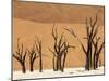 Dead Trees, Deadvlei, Sossusvlei, Namib Naukluft Park, Namib Desert, Namibia, Africa-Sergio Pitamitz-Mounted Photographic Print