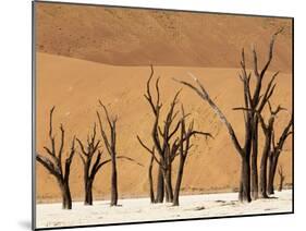 Dead Trees, Deadvlei, Sossusvlei, Namib Naukluft Park, Namib Desert, Namibia, Africa-Sergio Pitamitz-Mounted Photographic Print