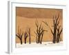 Dead Trees, Deadvlei, Sossusvlei, Namib Naukluft Park, Namib Desert, Namibia, Africa-Sergio Pitamitz-Framed Photographic Print