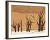 Dead Trees, Deadvlei, Sossusvlei, Namib Naukluft Park, Namib Desert, Namibia, Africa-Sergio Pitamitz-Framed Photographic Print