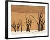 Dead Trees, Deadvlei, Sossusvlei, Namib Naukluft Park, Namib Desert, Namibia, Africa-Sergio Pitamitz-Framed Photographic Print